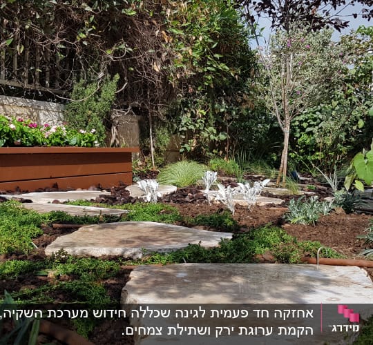 אבנים גדולות, צמחים ירוקים ופרחים באדנית בגינה